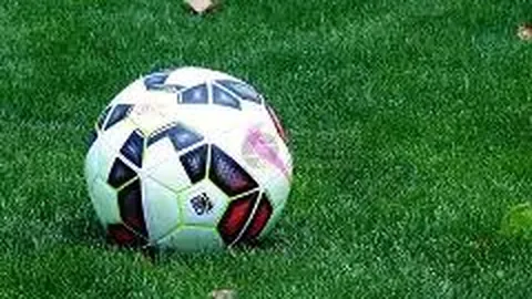 奇异果体育 产品 095121 anh