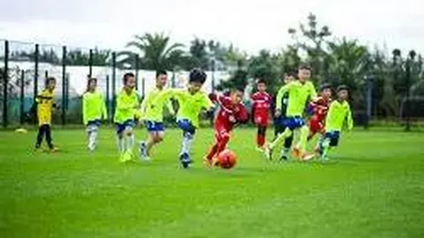 奇异果体育 资讯 113443 agj