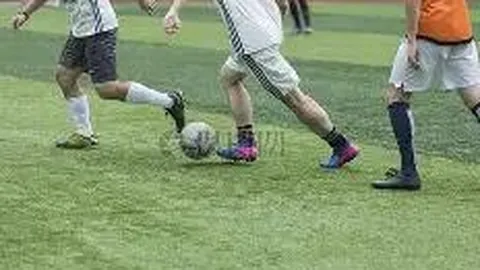 奇异果体育 资讯 114128 0lm