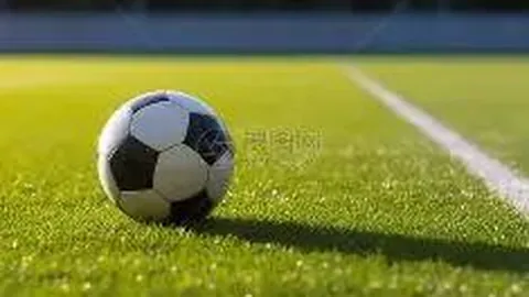 奇异果体育 资讯 113138 mjx