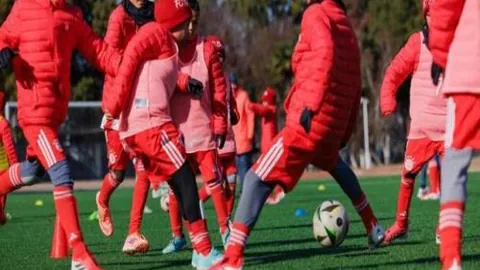 【每日精选】佳作推荐，热门作者策略同步，周包订阅，畅享写作盛宴！